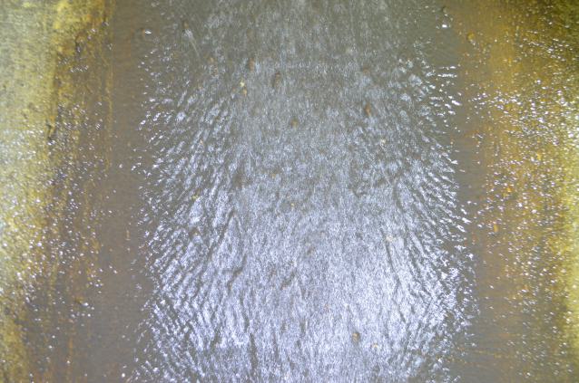 Fletcher's Drain photo 2