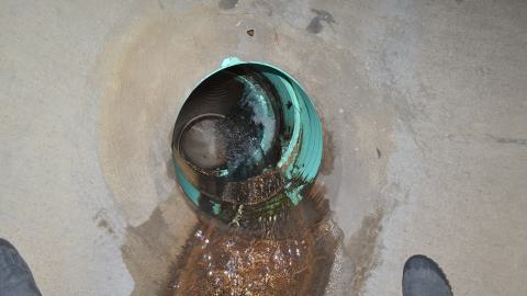 Nice Little Drain - DSC_0578.JPG