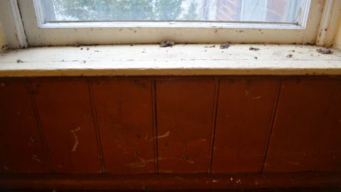 A Holy Start - DSC_0756.JPG