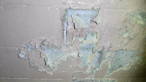 A Holy Start - DSC_0732.JPG