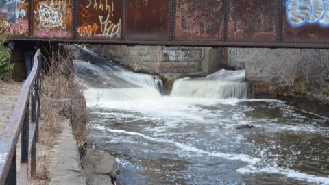 Best Spot In Guelph - DSC_0009.JPG