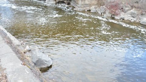 Best Spot In Guelph - DSC_0008.JPG