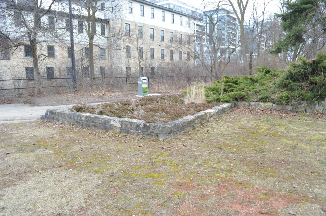 Best Spot In Guelph - DSC_0004.JPG