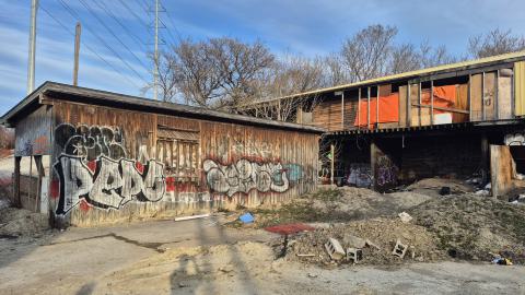 Too many squatters - 20250413_184320.jpg