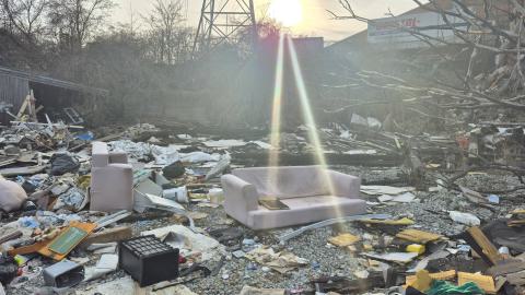 Too many squatters - 20250413_183314.jpg