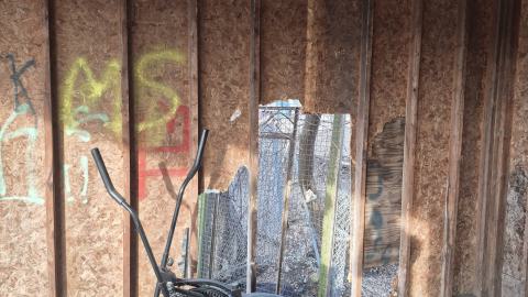 Too many squatters - 20250413_184004.jpg