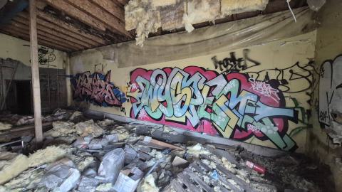 Too many squatters - 20250413_183012.jpg