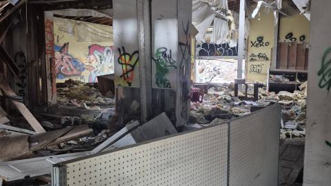 Too many squatters - 20250413_182829.jpg