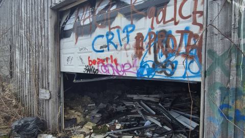 Too many squatters - 20250413_182953.jpg