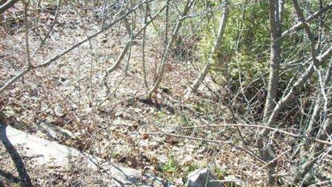 Old Pictures - Lakeshore-Lodge-Foundation9.jpg