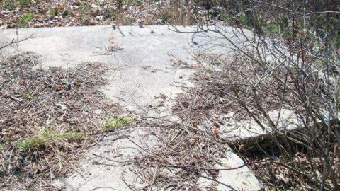 Old Pictures - Lakeshore-Lodge-Foundation16.jpg