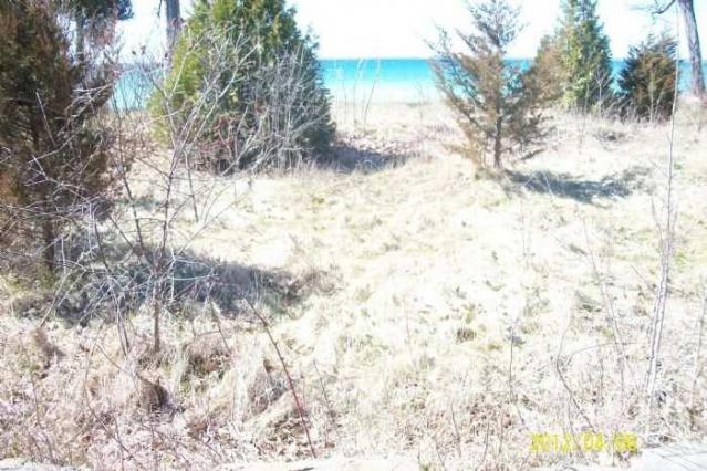 Lakeshore Lodge Foundation photo 2