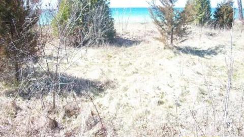 Old Pictures - Lakeshore-Lodge-Foundation4.jpg