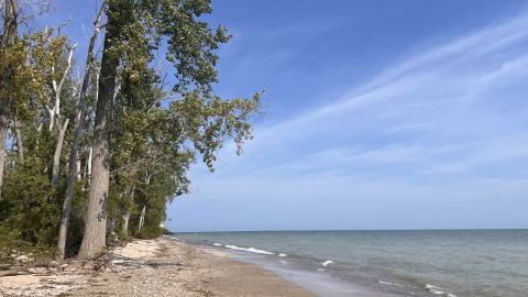 Photo from Lighthouse