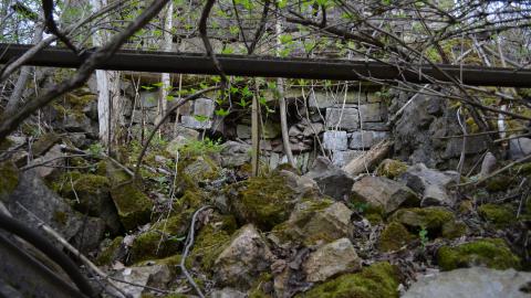 May '25 - DSC_0705.JPG