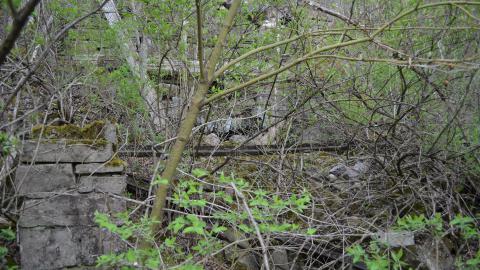 May '25 - DSC_0704.JPG