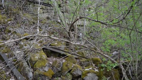 May '25 - DSC_0703.JPG