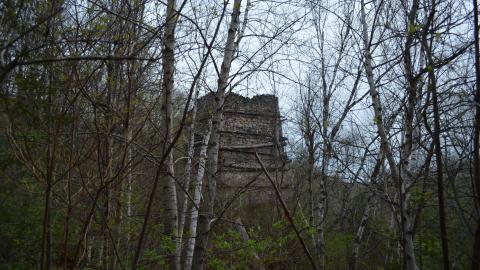 May '25 - DSC_0698.JPG