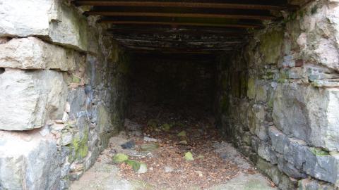 May '25 - DSC_0696.JPG