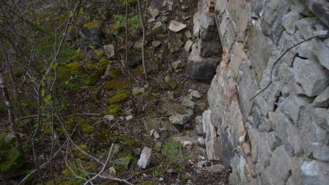 May '25 - DSC_0695.JPG