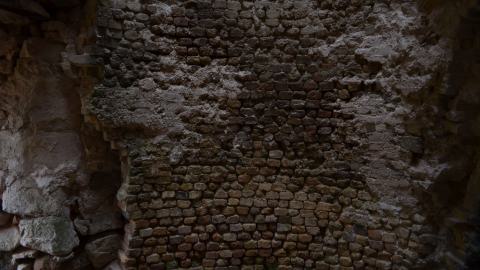 May '25 - DSC_0694.JPG