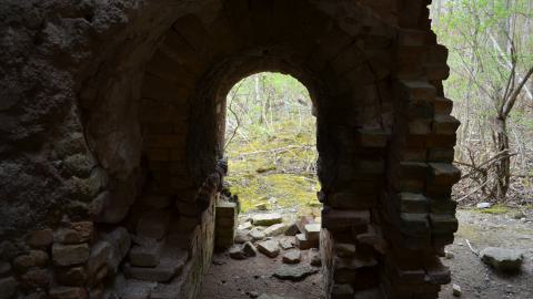 May '25 - DSC_0687.JPG