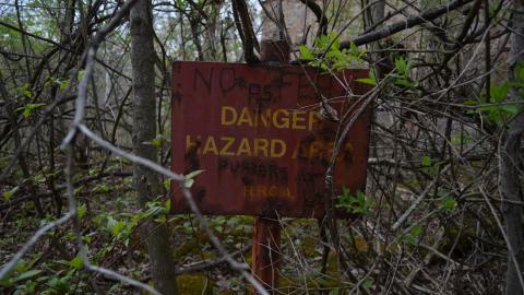 May '25 - DSC_0683.JPG