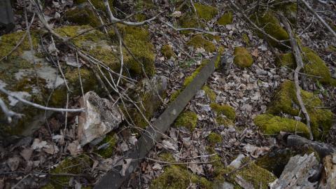 May '25 - DSC_0682.JPG