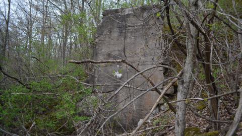 May '25 - DSC_0681.JPG