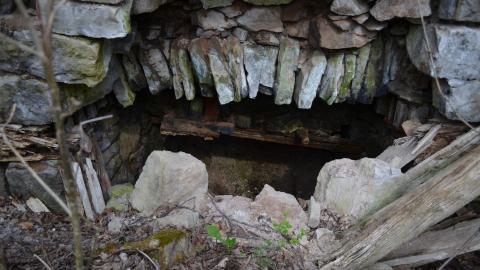 May '25 - DSC_0680.JPG