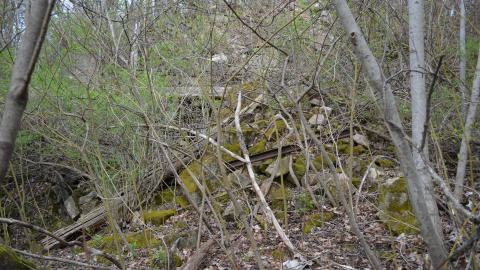 May '25 - DSC_0679.JPG