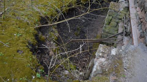 May '25 - DSC_0677.JPG