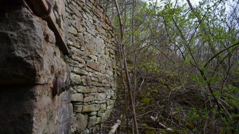 May '25 - DSC_0676.JPG