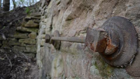 May '25 - DSC_0674.JPG