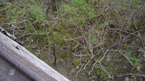 May '25 - DSC_0669.JPG