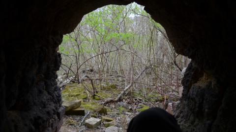 May '25 - DSC_0668.JPG