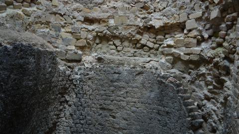 May '25 - DSC_0659.JPG