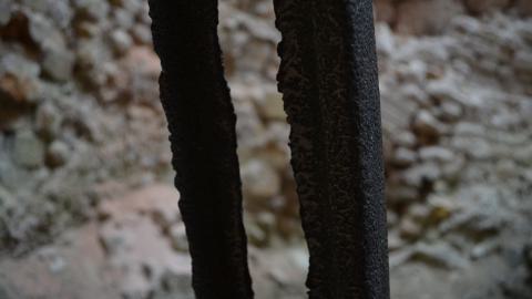 May '25 - DSC_0658.JPG