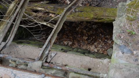 May '25 - DSC_0656.JPG