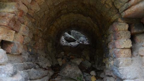 May '25 - DSC_0650.JPG