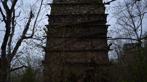 May '25 - DSC_0649.JPG