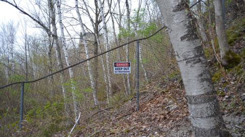 May '25 - DSC_0648.JPG