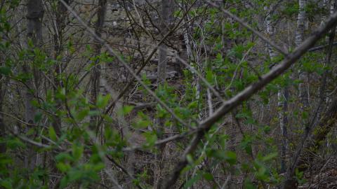 May '25 - DSC_0646.JPG