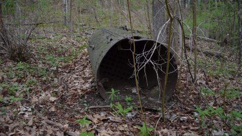 May '25 - DSC_0645.JPG