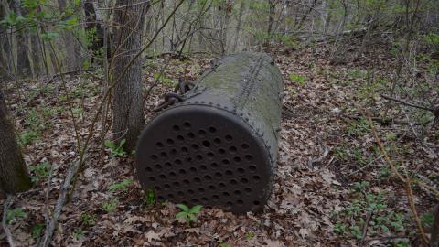 May '25 - DSC_0644.JPG