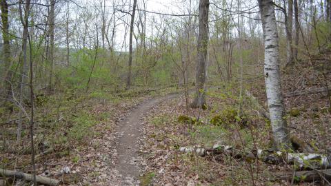 May '25 - DSC_0643.JPG