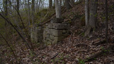 May '25 - DSC_0642.JPG