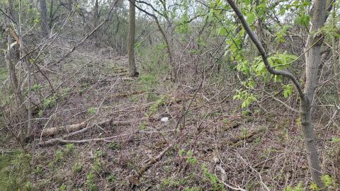 05/02/25 - 20250502_181121.jpg