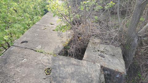 05/02/25 - 20250502_180944.jpg