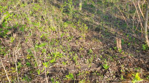 05/02/25 - 20250502_180804.jpg